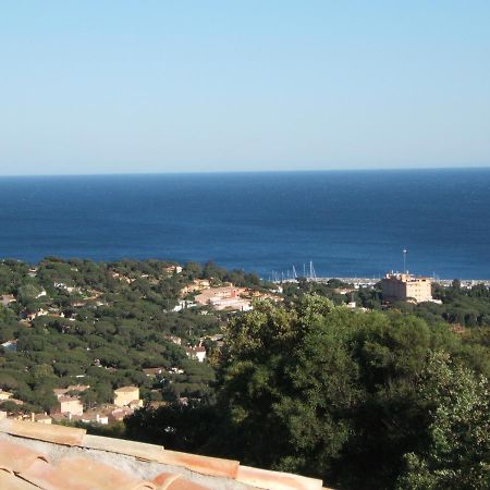 Villa Le Sud Les Issambres Extérieur photo